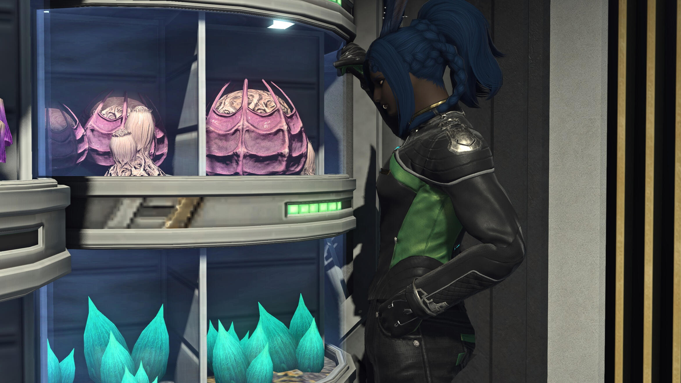 No one&#39;s told Naja that the fungi won&#39;t grow faster no matter how long you stare at it