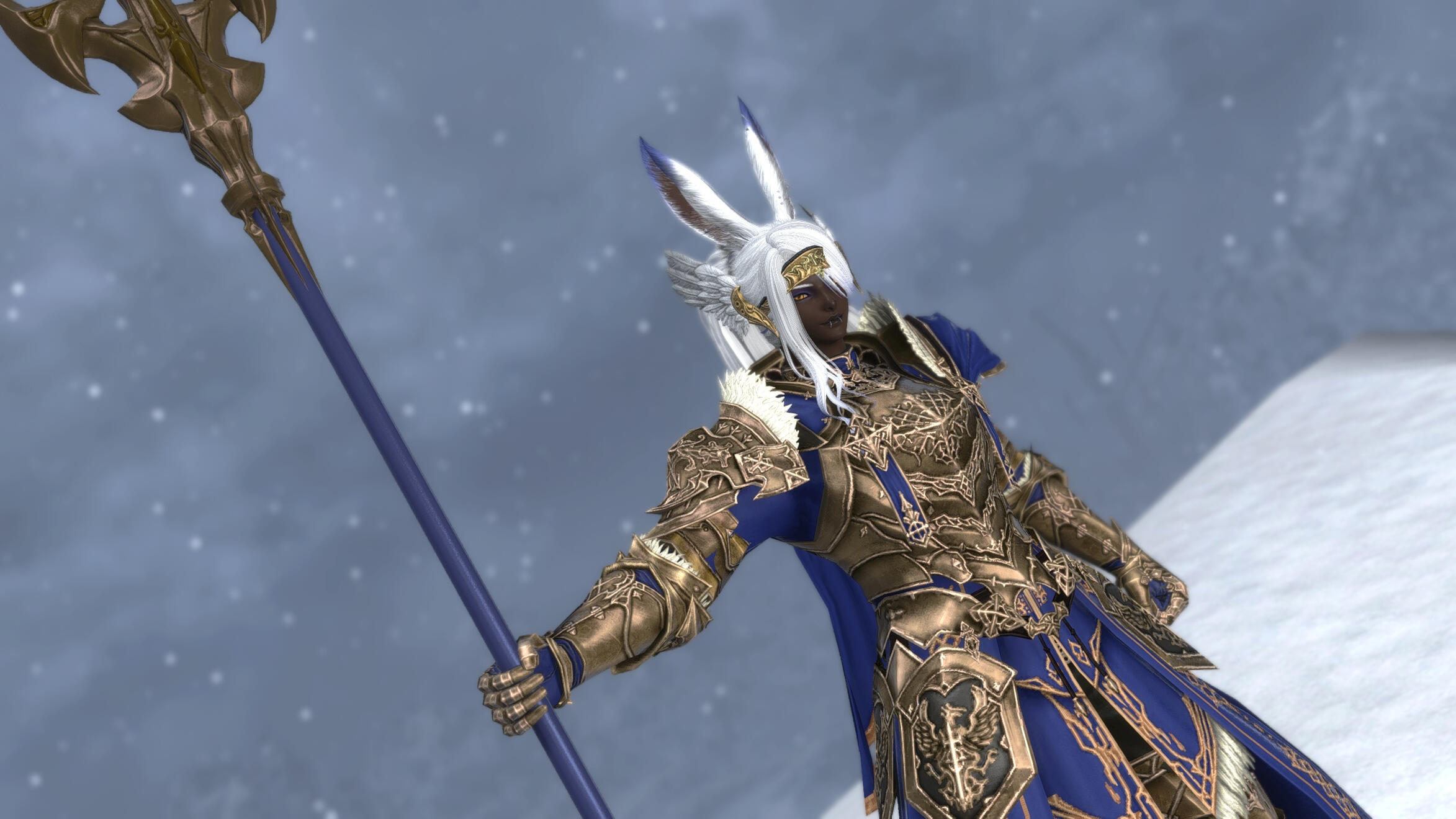 Halone wishes she could pull off these ears. (All Saints &#39;24)