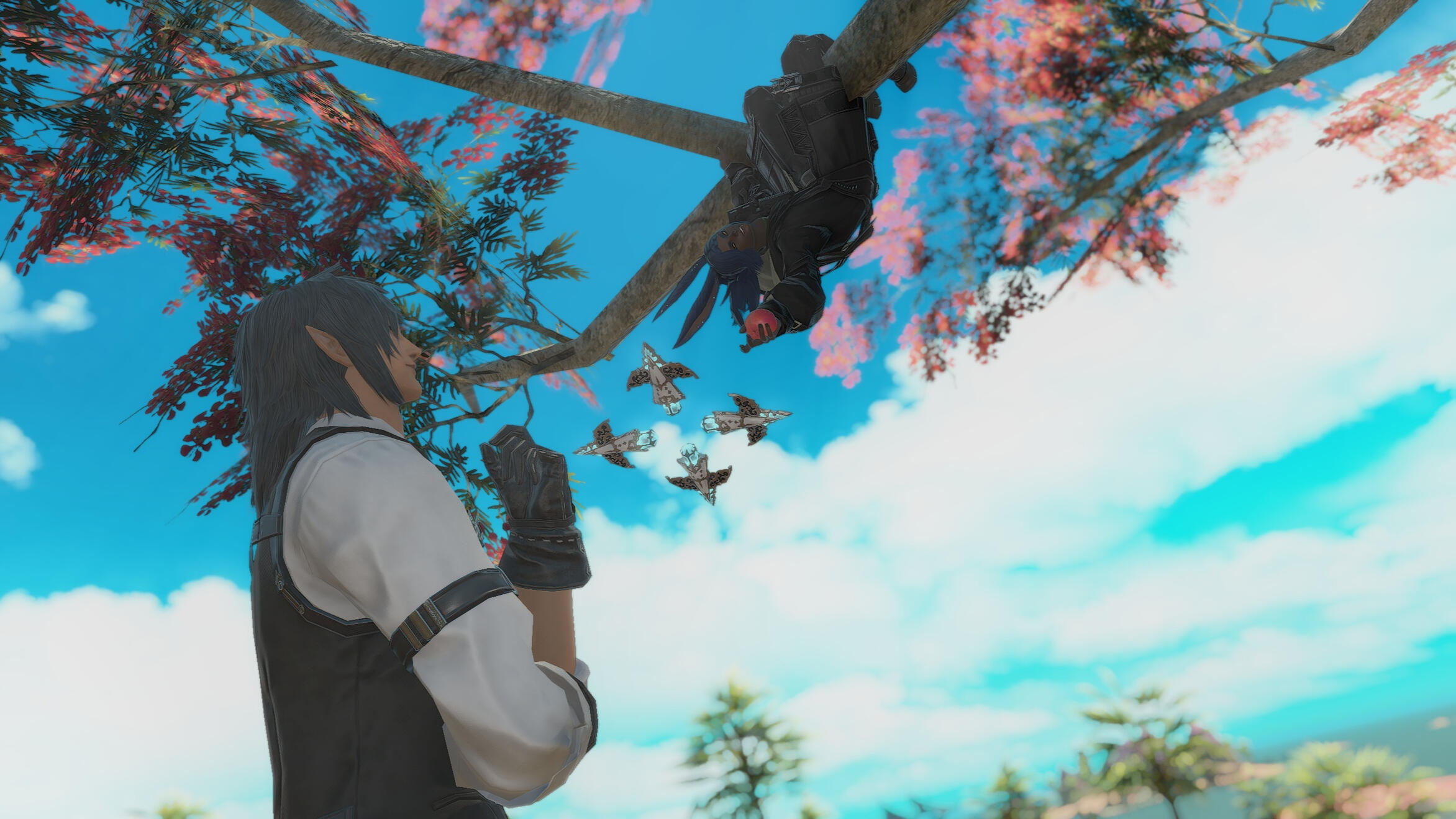 Did Naja want to go fruit picking just to show off his tree-climbing skills? Perhaps.